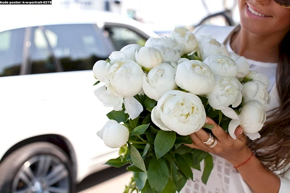 Rosen im Auto