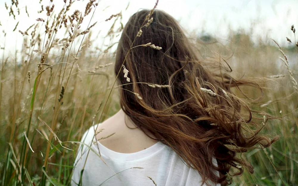Braunes Haar von hinten
