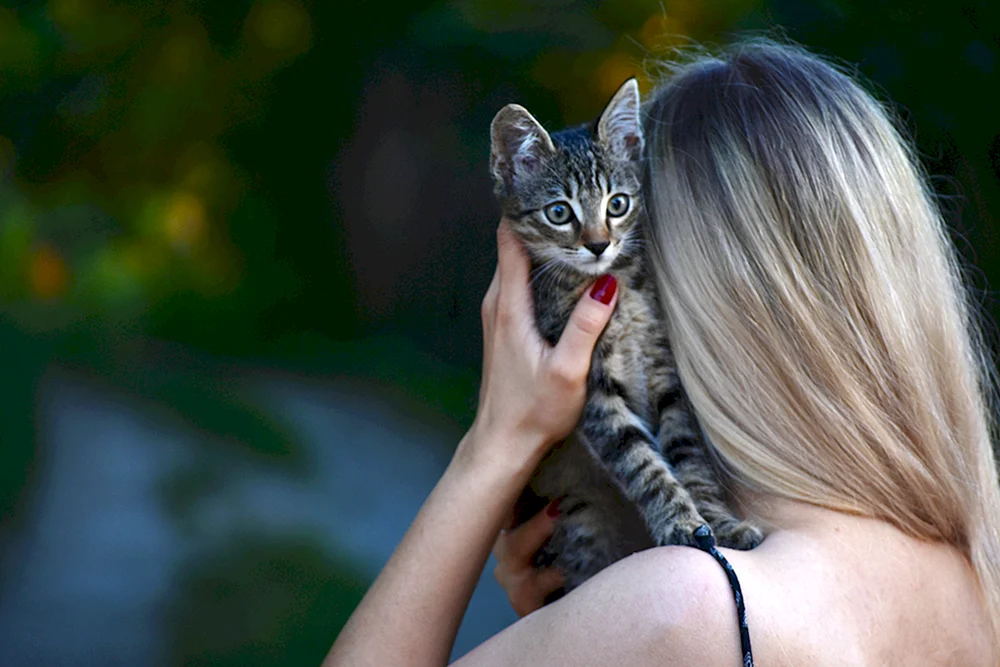Mädchenkatze mit Kätzchen auf dem Arm