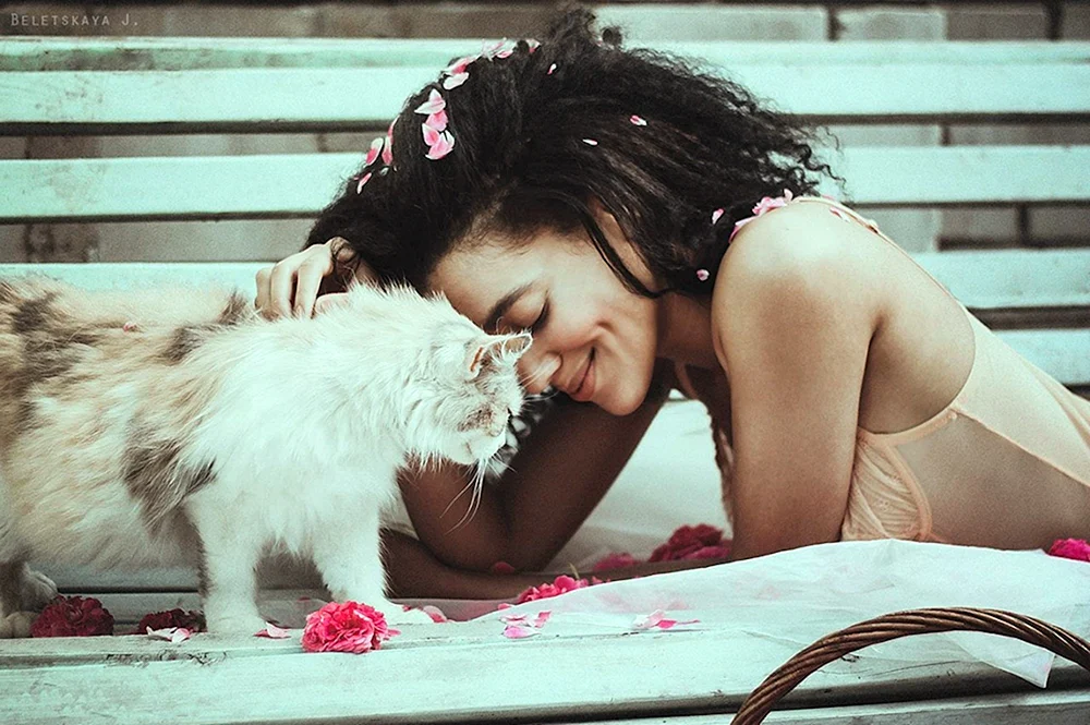 Mädchen Katze Mädchen Katze