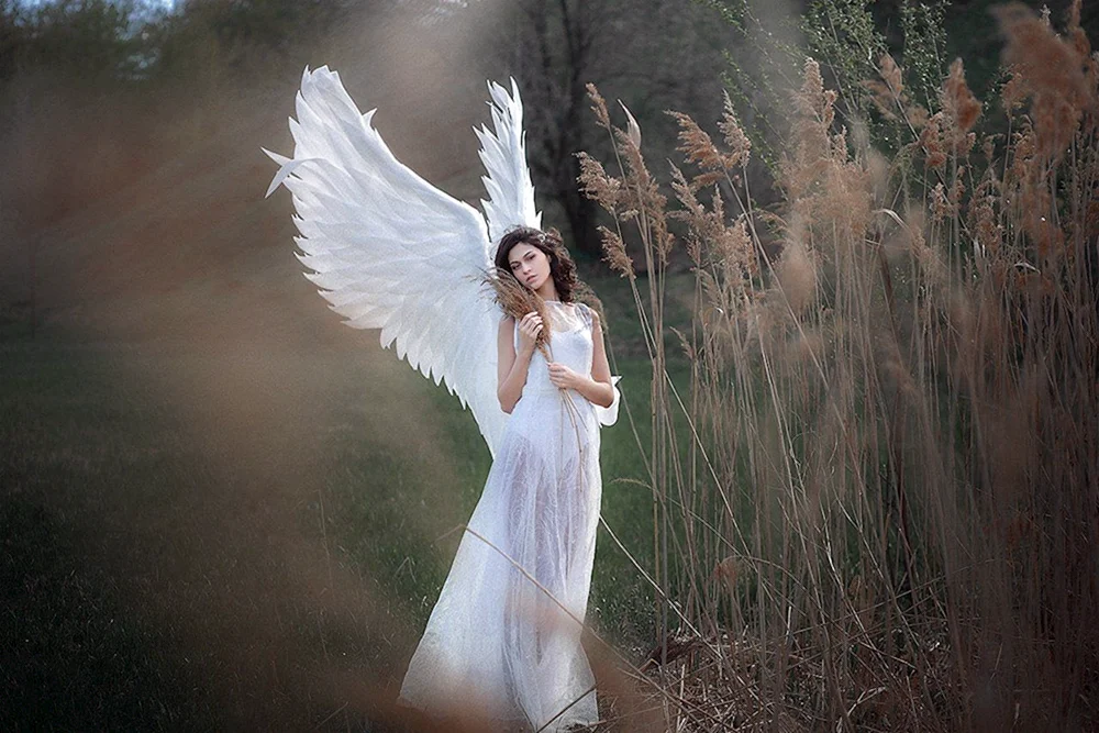 Engel Angelovich