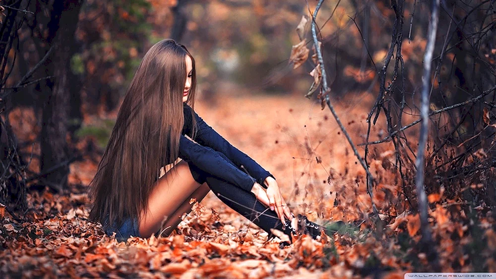 Herbst-Fotoshooting im Wald