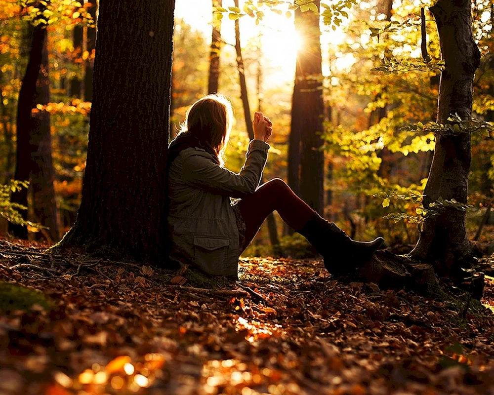 Herbstmädchen mit braunem Haar und Herbst