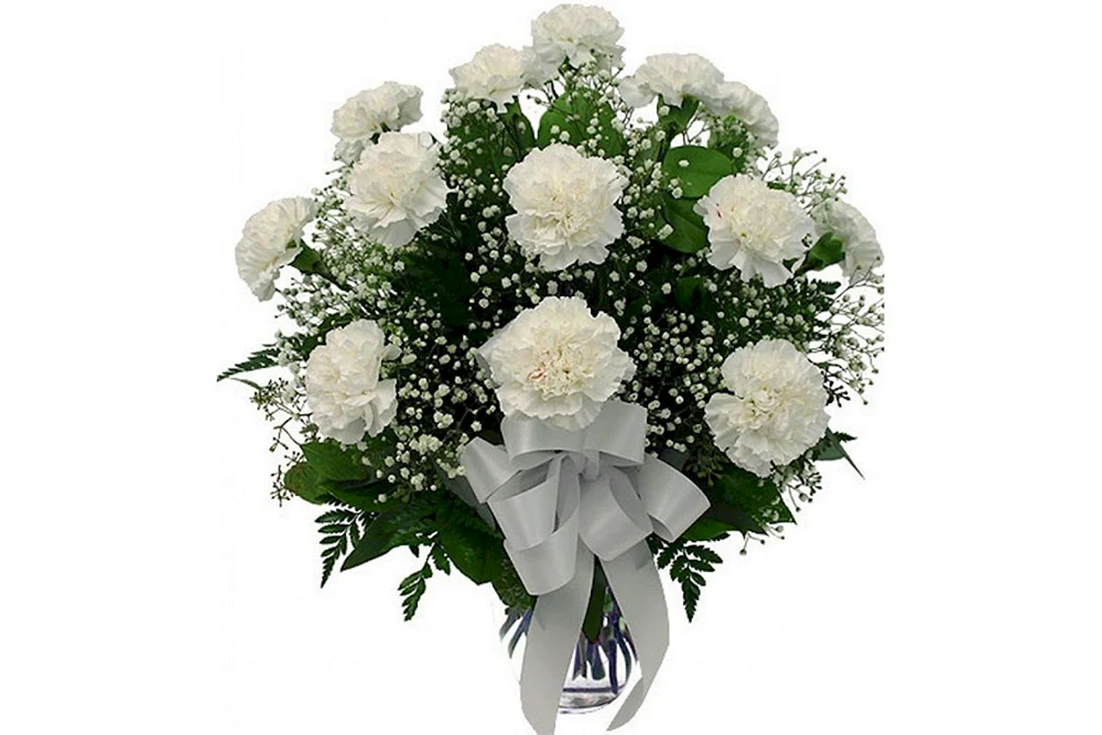 Dianthus und Gypsophila