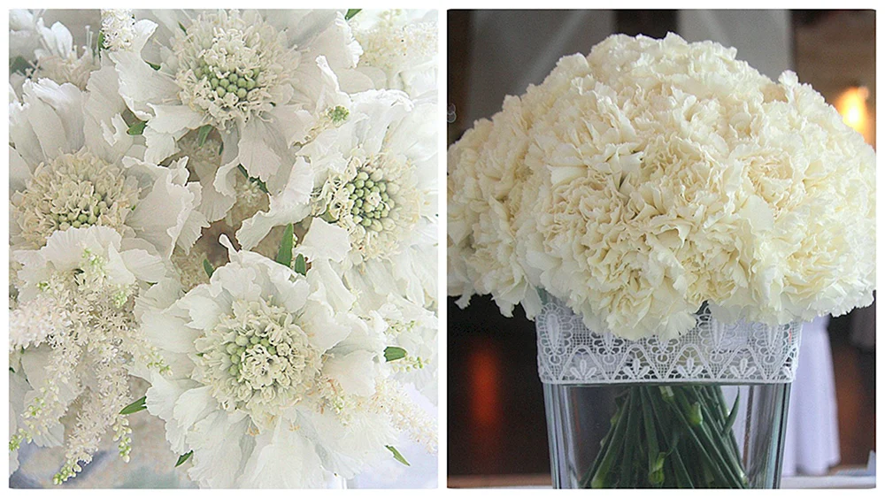 Dianthus Hochzeitsstrauß