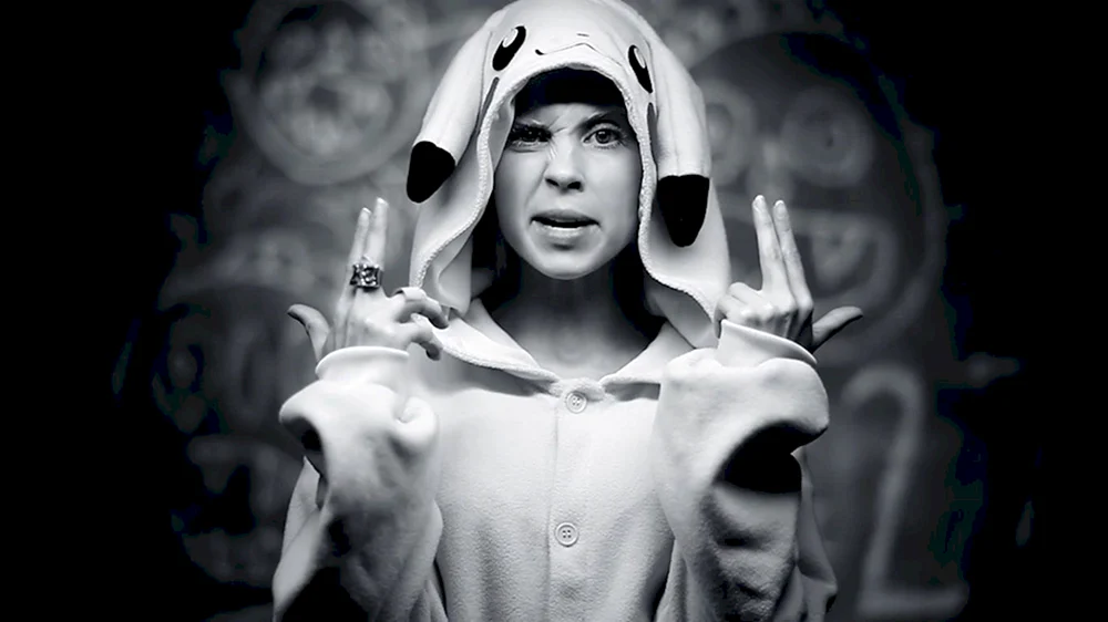 Die antwoord Yolandi Fisser