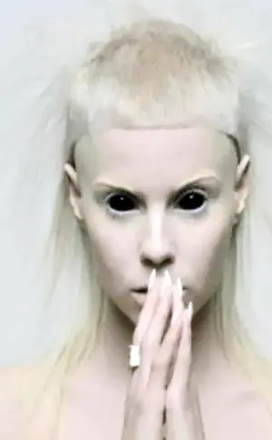 Die antwoord Solistin