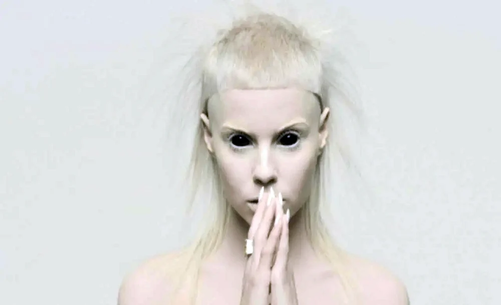 Die antwoord Solistin