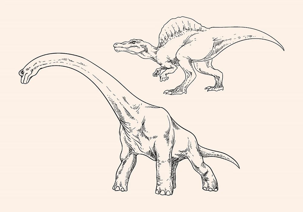 Dinosaurier Zeichnung