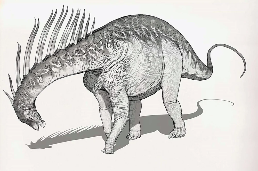 Dinosaurier Zeichnung