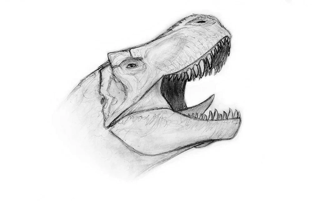 Dinosaurier Bleistiftzeichnung