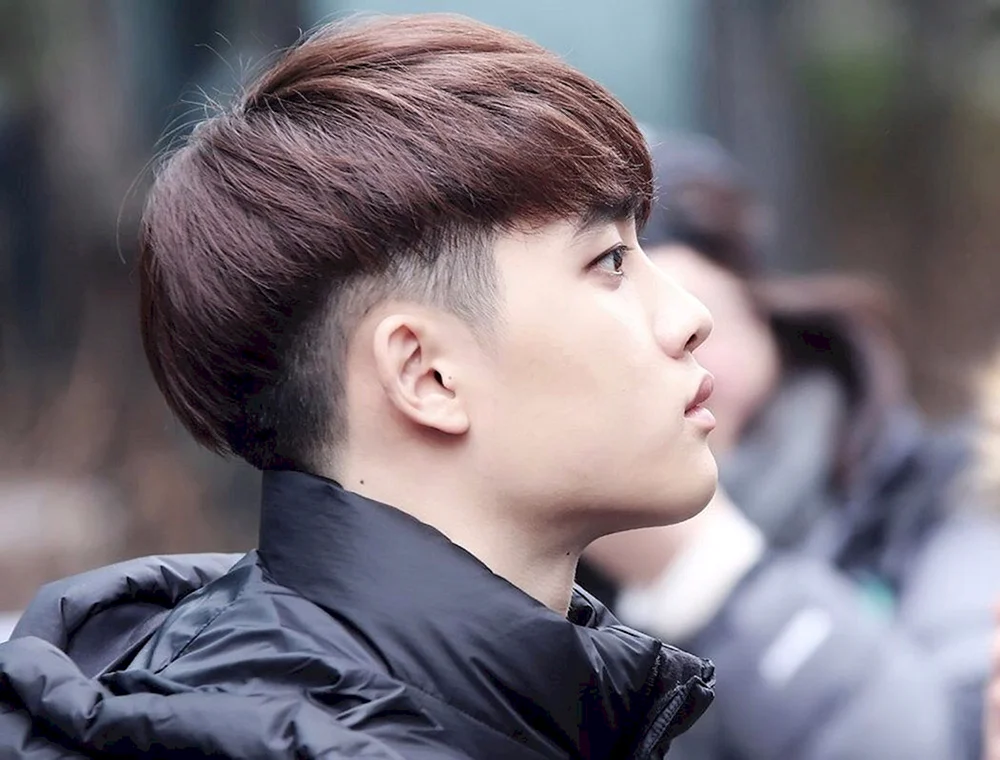 Aidol Kare
