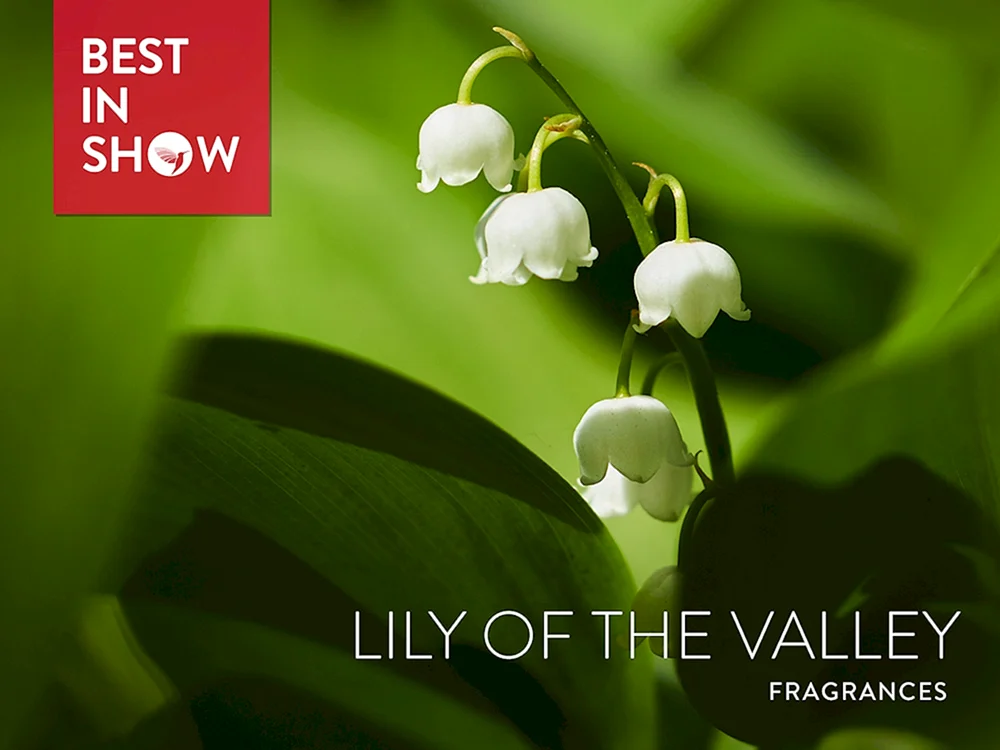 Dior коллекция Lily of the Valley