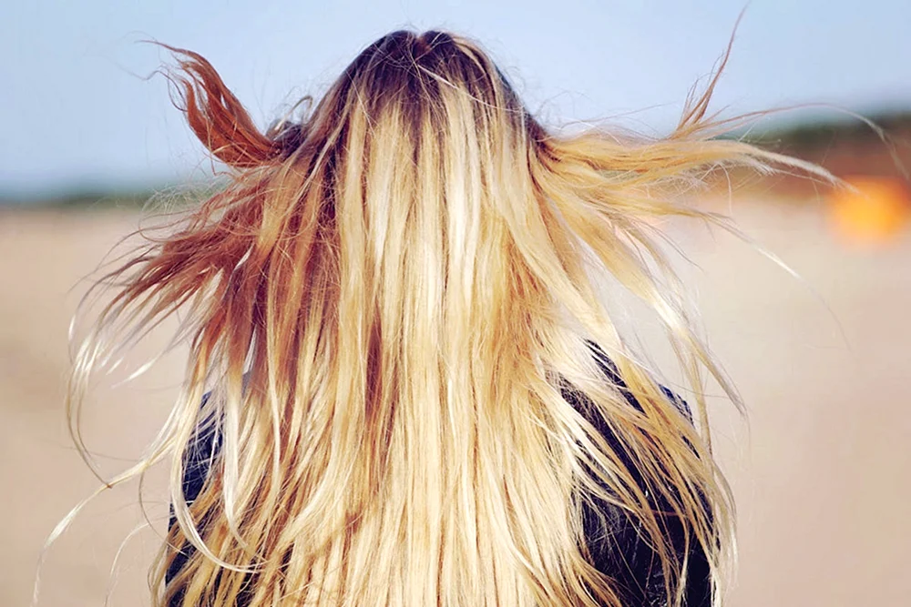 Blond mit Braun von hinten