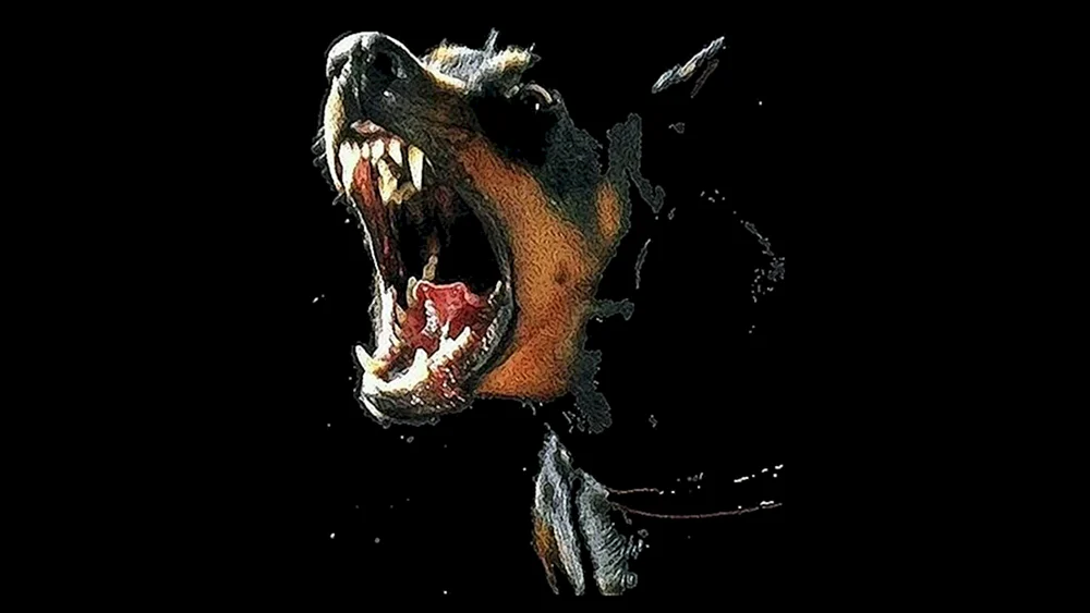 Dobermann Pinscher