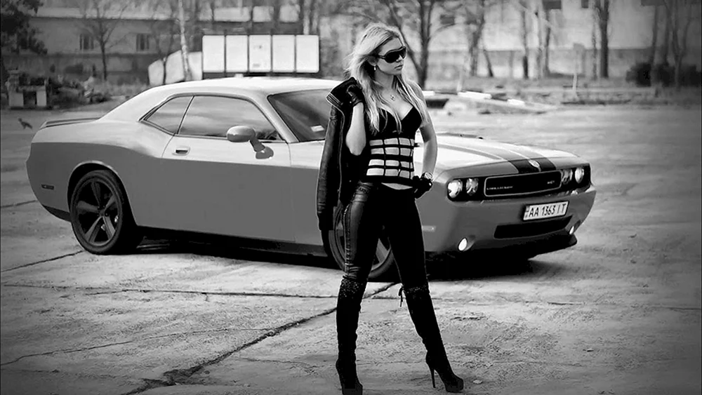 Dodge Challenger Küken