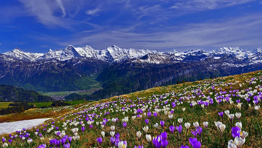 Schöner Frühling