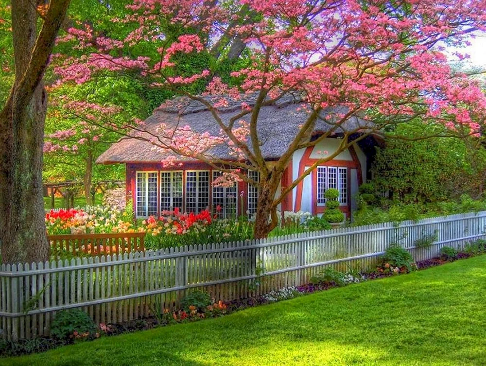 Haus im Garten