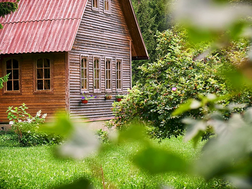 Schöne Aussicht auf den Garten