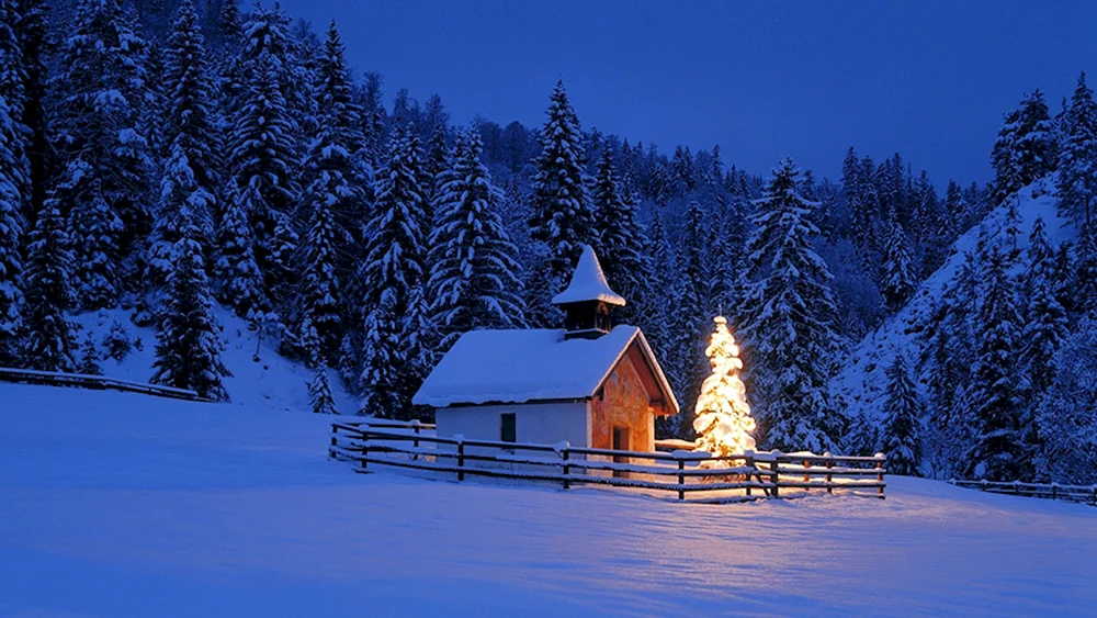 Winterwald