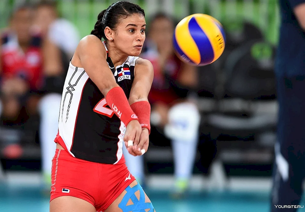 Fernandez Perez Volleyballerin