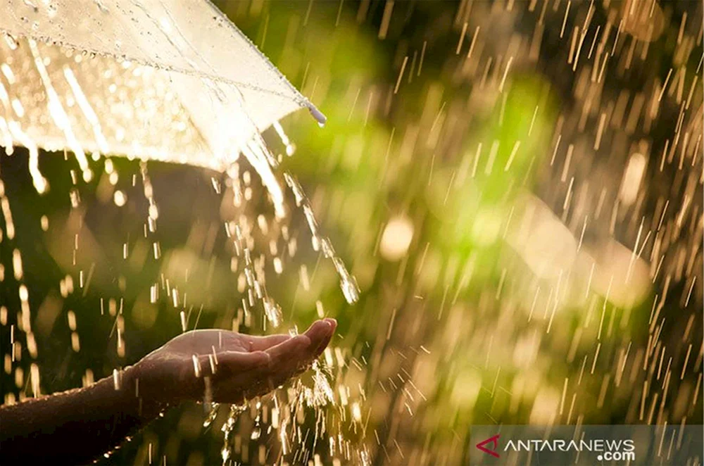 Regen