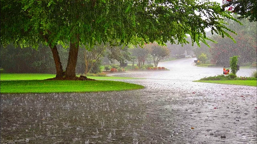 Regen