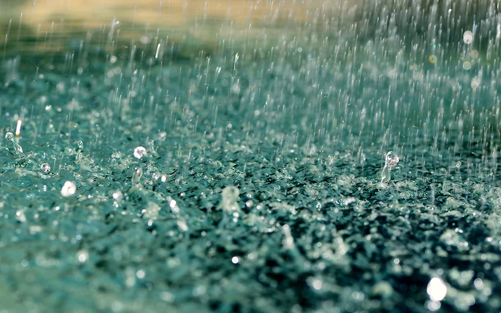 Regen