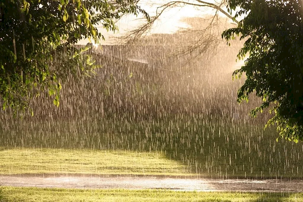 Regen