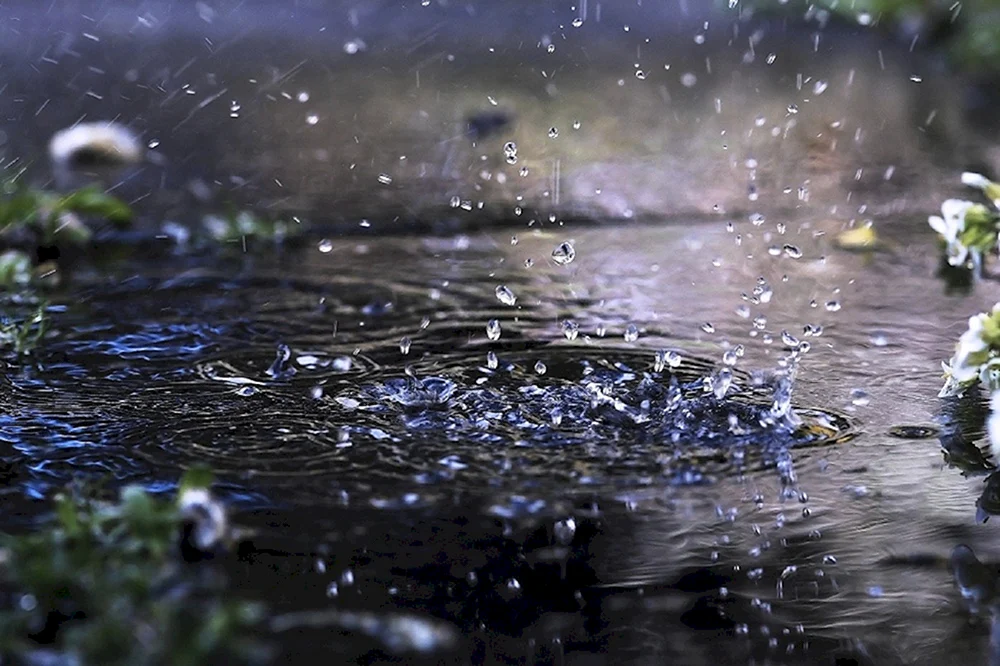 Regen