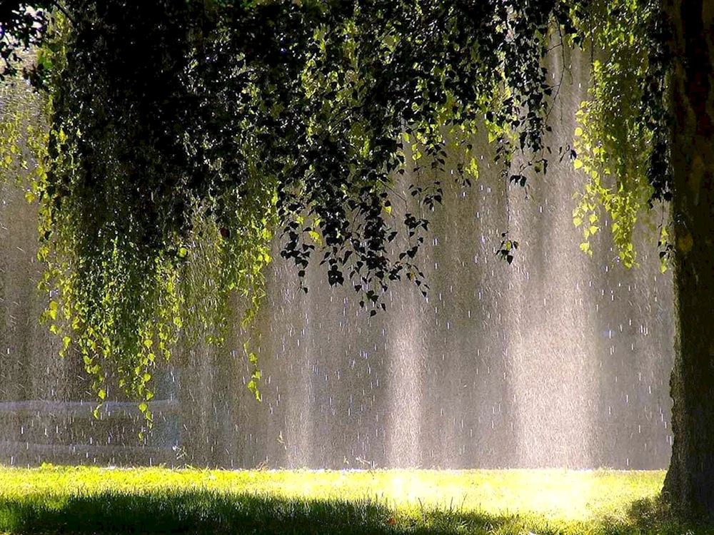 Regen