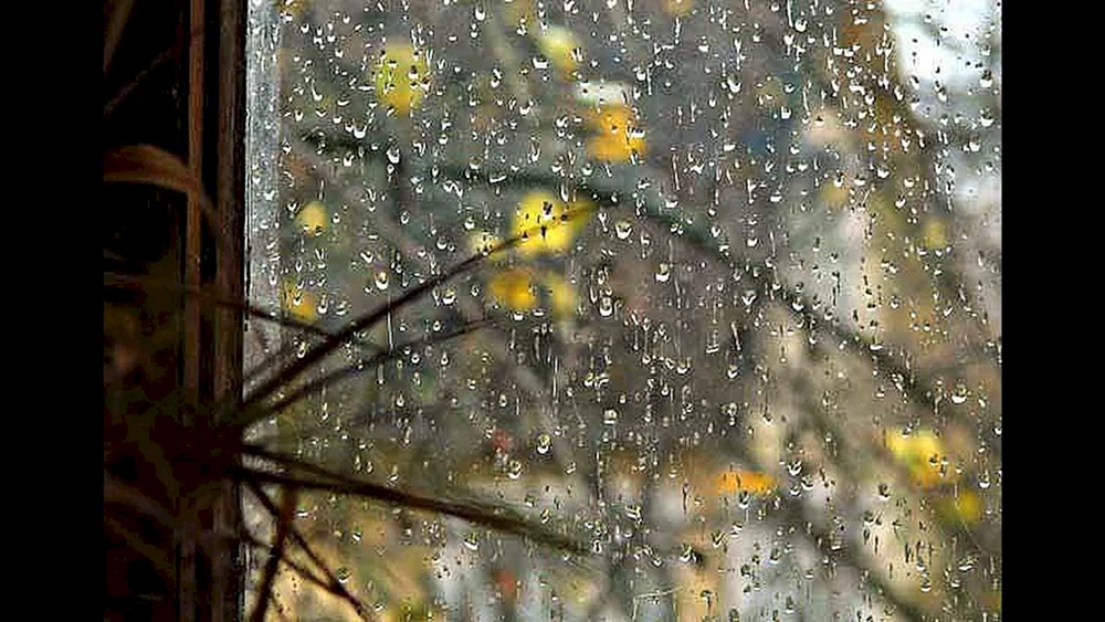 Aus dem Fenster Blick auf Herbst
