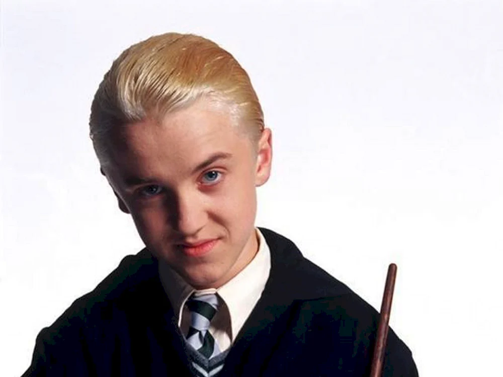 Draco Malfoy Stein der Weisen