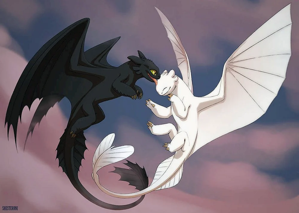 Zahnloser Drache und Weiße Wut