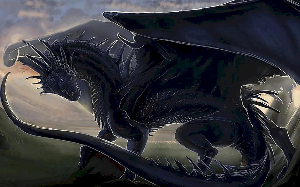 Drache Schwarzer Drache