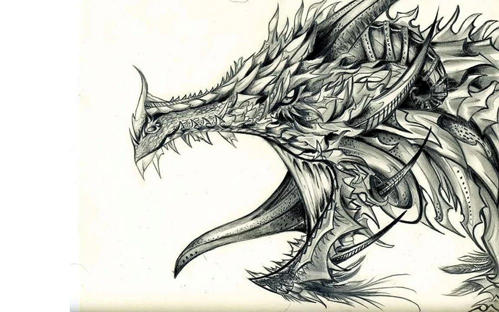 Drachen Bleistiftzeichnung