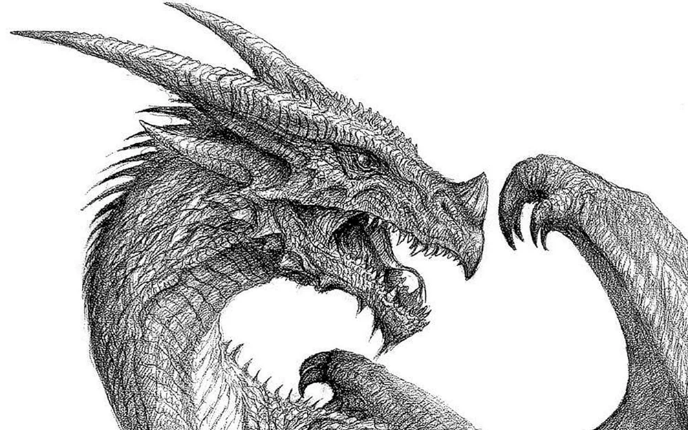 Drachengrafik