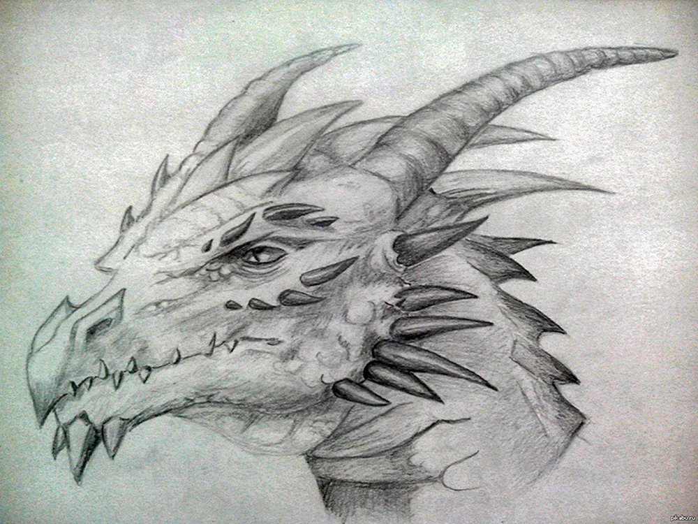 Drachen Bleistiftzeichnung