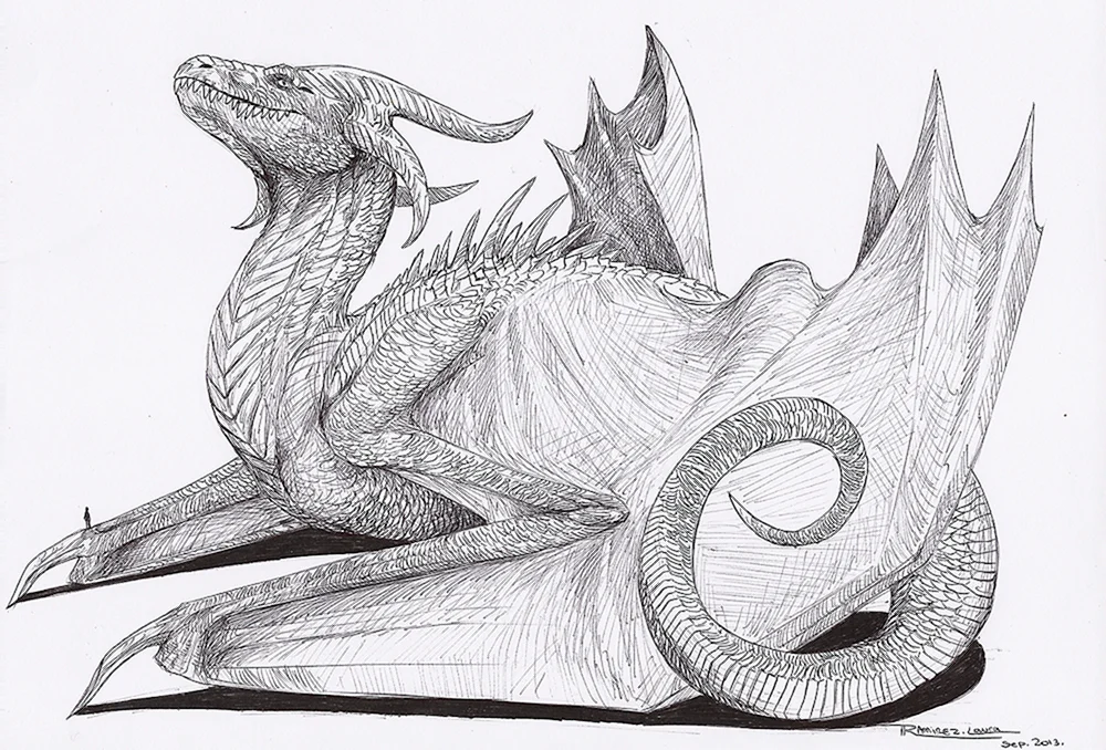 Drachen Bleistiftzeichnung