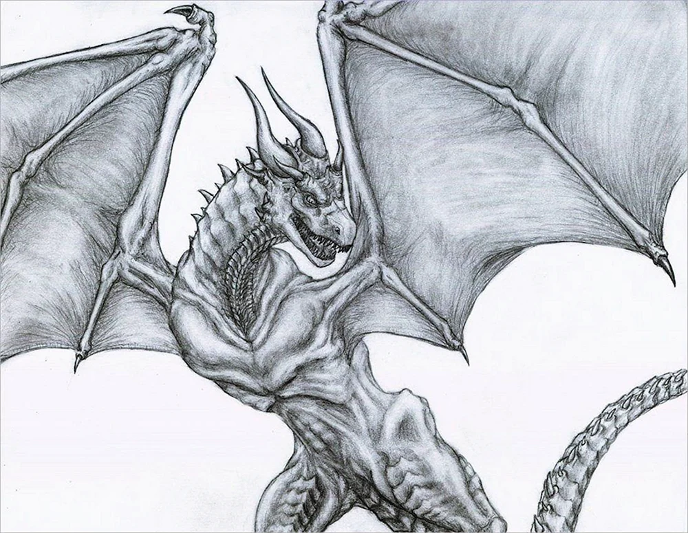 Drachen Bleistiftzeichnung