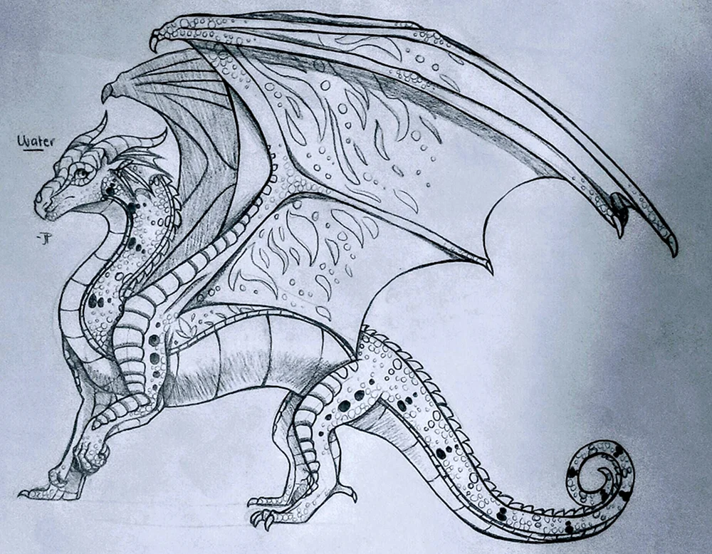 Drachen Bleistiftzeichnung