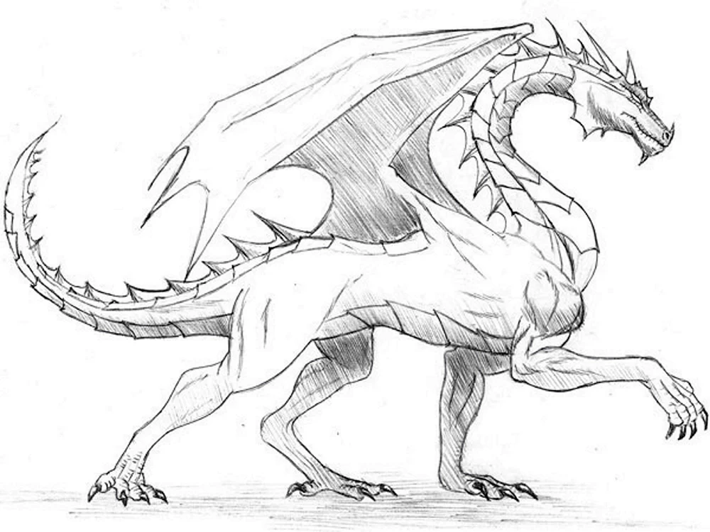 Drachen Bleistiftzeichnung