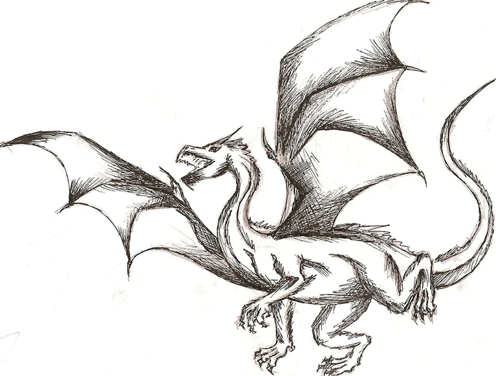 Alvia Alcedo Drachen