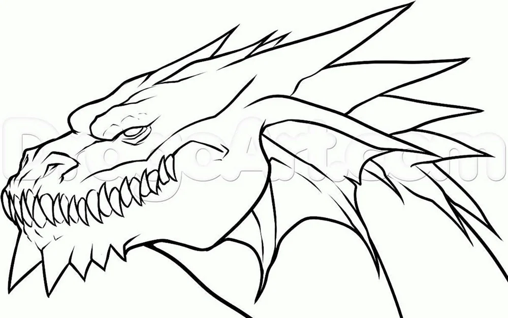 Drachen Zeichnungen