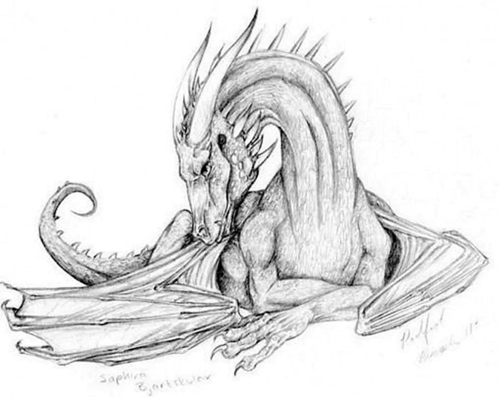 Drachen Bleistiftzeichnung