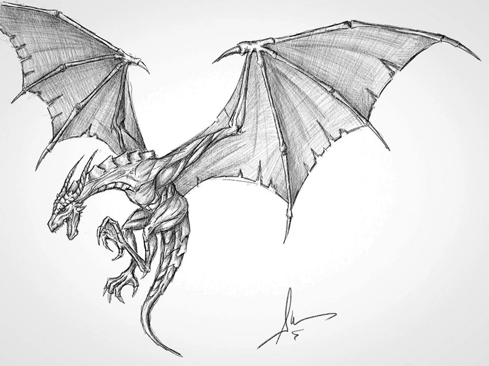 Drachenskizze