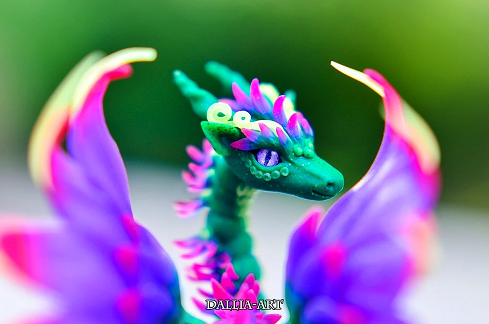 Amber Hill Drache