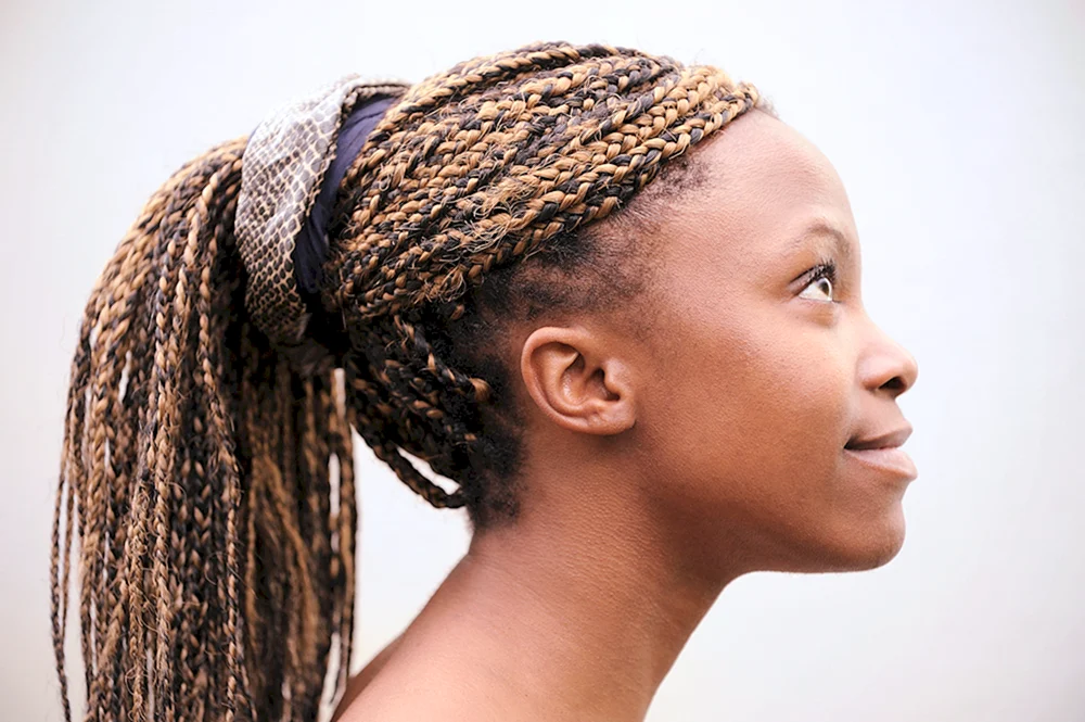Dreadlock Zöpfe Afrikanisch Französisch Senegalesisch