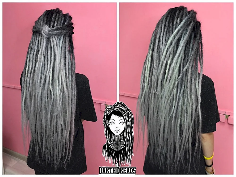 De Dreadlocks ombré
