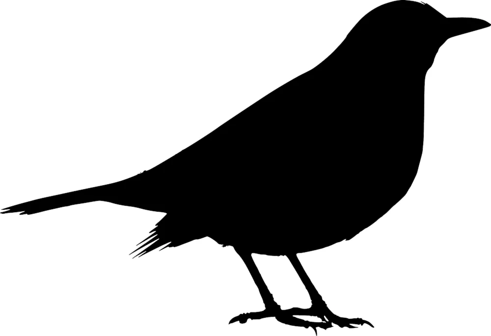 Drosselsilhouette
